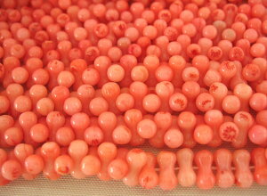 X A̔ s[ibc^ 10×5mm coral p[Xg[ ANZT[p[c nhCh