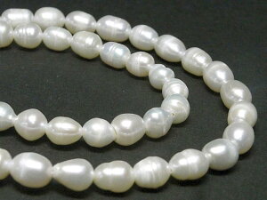 Wp[ CX zCg 6`8mm A̔ (W^) r[Y p[Xg[ ANZT[p[c nhCh DIY