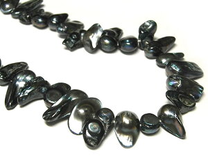 Wp[ ^ ubN A̔ (W^) r[Y p[Xg[ ANZT[p[c nhCh DIY