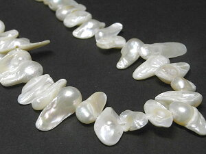 Wp[ ^ zCg A̔ (W^) r[Y p[Xg[ ANZT[p[c nhCh DIY