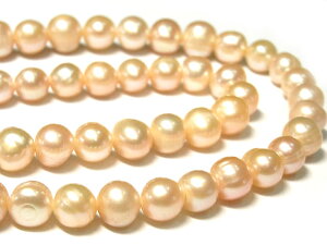 Wp[ |eg sN 7`8mm A̔ (W^) r[Y p[Xg[ ANZT[p[c nhCh DIY