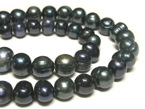 Wp[ |eg ubN 10`11mm A̔ (W^) r[Y p[Xg[ ANZT[p[c nhCh DIY