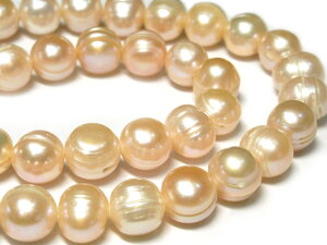 Wp[ |eg sN 10-11mm A̔ (W^) r[Y p[Xg[ ANZT[p[c nhCh DIY