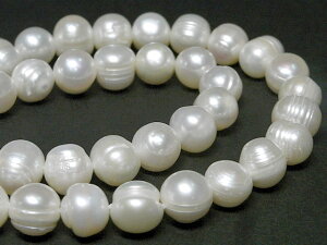 Wp[ |eg zCg 10`11mm A̔ (W^) r[Y p[Xg[ ANZT[p[c nhCh DIY