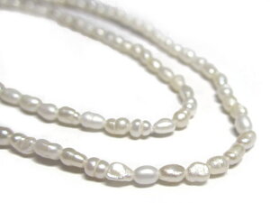 Wp[ A̔ zCg CX 4×2.5mm W^ r[Y p[Xg[ ANZT[p[c nhCh DIY