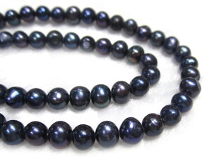 Wp[ |eg ubN 5`6mm A̔ W^ r[Y p[Xg[ ANZT[p[c