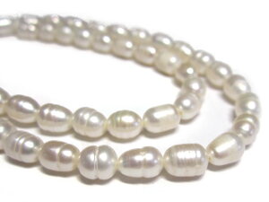 Wp[ CX zCg 5`6mm A̔ (W^) r[Y p[Xg[