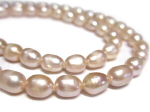 Wp[ CX sN 5`6mm A̔ (W^) r[Y p[Xg[