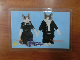 楽天市場 なめ猫 カードの通販