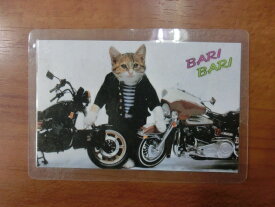 楽天市場 なめ猫 カードの通販