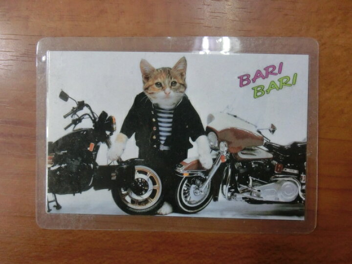 楽天市場 なめんなよ なめ猫カード バリバリno 1 バイク 中古 模型屋ビースタービー楽天市場店