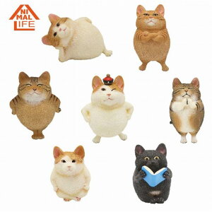  tBMA Grj ANIMAL LIFE FUMEANCATS (1BOX8) St hς݊i tBMA TOSHIO ASAKUMA jINGCeBu [ Vi ]