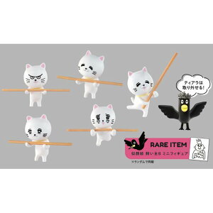  tBMA MdȖ_lR tBMARNV (1BOX12) St tBMA PGt@g [ Vi ]