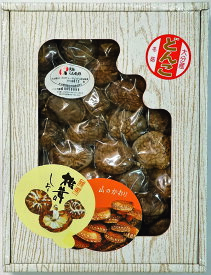 【送料無料】マルトモ物産 大分産どんこ椎茸