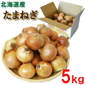 【送料無料】 北海道産 たまねぎ 約5kg 野菜 玉ねぎ タマネギ 玉葱 北海道 ほっかいどう お取り寄せ まとめ買い 買いおき 保存野菜 自宅用 家庭用 業務用 贈り物 新鮮 送料無料 送料込み