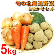 【送料無料】 北海道産 常備野菜 おまかせセット 合計約 5kg じゃがいも 男爵 きたあかり メークイン 品…