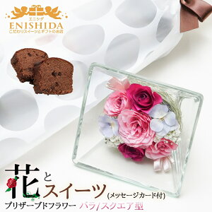 av[g ԂƃXC[cZbg bZ[WJ[htyzvU[uht[(o ~bNXEXNGA^)nP[Lya LO Mtg v[g  e 