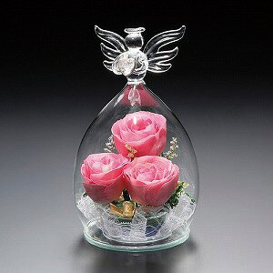 vU[uht[ sAt[(o(sN)FVg^())ya LO ̓ j JXj v[g  Mtg Gift o[Xf[z