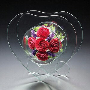 vU[uht[  sAt[(o()Fn[g^())p-14l-rya LO ̓ Mtg j JXj v[g  Mtg Gift o[Xf[z