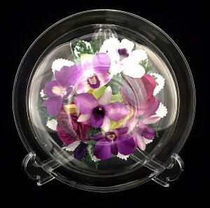 vU[uht[ sAt[() p-mo-18ya LO ̓ hV̓ Mtg j JXj ސEj Əj v[g  Mtg Gift o[Xf[z