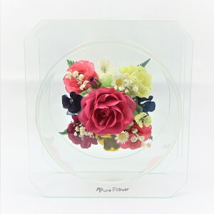 vU[uht[ sAt[(oF~bNX)p-12s-pya LO ̓ hV̓ Mtg j JXj ސEj Əj v[g  Mtg Gift o[Xf[z