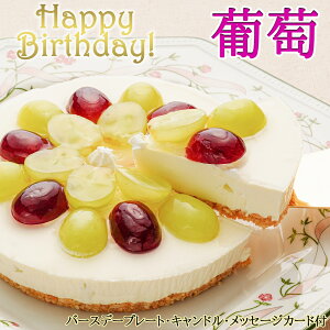 aP[L  G߂̃t[cA`[YP[L()(LhEv[gEbZ[WJ[ht)yt[cP[L o[Xf[P[L Ԃǂ uhE }XJbg P[L fR[