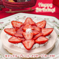 誕生日ケーキ 送料無料 季節のフルーツレアチーズケーキ(苺) 5号(キャンドル・プレート付)【いちご イチ…