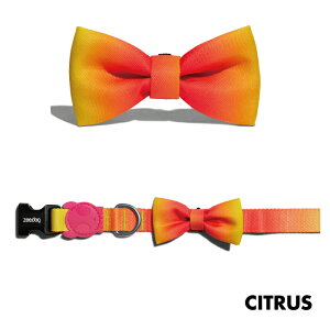 yzee.dog official web storez BOW TIE STCY {E^C  lN^C { LO  y