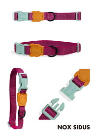 【zee.dog official web store】COLLAR 首輪 XS/S/M/Lサイズ 犬 バックル 簡単着脱 おしゃれ あす楽