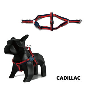 yzee.dog official web storez STEP IN HARNESS LTCY XebvC n[lX   y