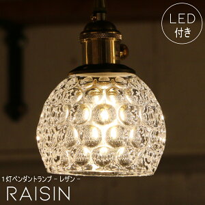 y ~jg^ LEDd tzy_gCg Raisin - U - 1 y_gv V[OCg LED d Ή V Ɩ  AeB[N  _CjO Lb` rO