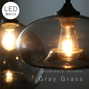 y LEDd t z1 y_gv O[ KX@VF[h |V[OΉ tȒP VƖ Vz tH[ mx[V Ɩ Cg O[ ی^ t A