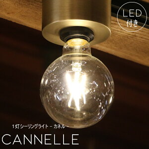 yIׂLEDdtzy_gv - Cannelle Jl - Cg VƖ |V[O rO _CjO L  X CeA C_XgA Be[W AeB[N 