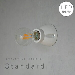 y LEDd t zZ~bN \Pbg - X^_[h - EH[v Ԑ Ɩ   rO L ʏ X CeA@zeCN@AJ@Be[W AeB[N 