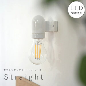 y LEDd t zZ~bN \Pbg - Xg[g - EH[v Ԑ Ɩ   rO L ʏ X CeA@zeCN@AJ@Be[W AeB[N V