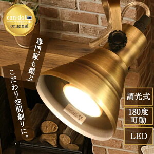 yLEDr[tzX|bgCg DR-SP10 _Ng[p y_gv Cg VƖ V[OCg VƖ CeBO[ ȒPt