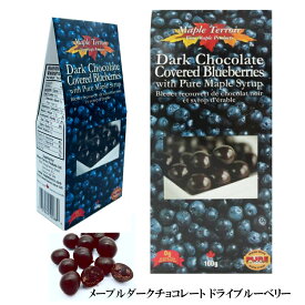 ブルーベリー まるごと チョコレート 各100g カナダ 土産 メープルテルワー 人気 日本語シールはがし