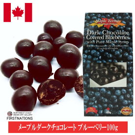 ブルーベリー まるごと チョコレート 各100g カナダ 土産 メープルテルワー 人気 日本語シールはがし