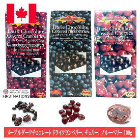 フルーツ まるごと チョコレート 3種 (チェリー・ブルーベリー・クランベリー) 各100g【アソート3箱セット】カナダ 土産 旅行 お土産袋