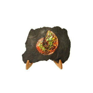 JifBA ACg  WFXg[ gbvO[h (30-725)