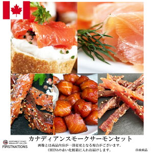 JifBAX[NT[Zbg 1Zbg(56i) ΂ V[t[h Ji_ yY  O  ʔ [v`bv yYHi Ε lOK