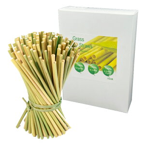 GRth[ Xg[ OXXg[ GRASS ĝăXg[ 20cm  vX`bNփXg[ nɂ₳ SDGs ϋv ϔM L@͔| wsgp 100% I[KjbN r[