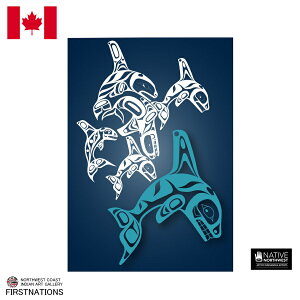 |XgJ[h lCeBuA[g CXg fUC Ji_ Z CfBA G Orca Family IJ V`