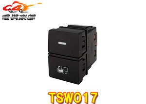 y񏤕izDataSystemf[^VXeTSW017z_pTYPE-CrgCXCb`(TV-KIT/TV-NAVIKIT/JڑA_v^[pi)