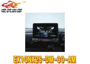 y񏤕izApCEX10NX2S-DM-30-AMfJ~j(30n}`AEhj^[)p10^J[irBIGX(Vvf)