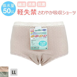 zV[c AփV[c yփV[c 32043 50CCΉ y pbgt ARpc LL 2L XL O[ sN wlp  { hbg ʖ͗l 킢 傫TCY @  y