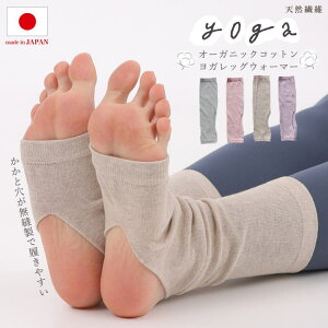 KbOEH[}[ ƕD C \bNX  I[KjbNRbg VR@ { キ 킢 SD06-09 GAhG