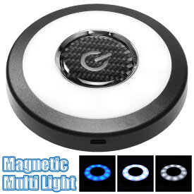充電式 マグネット LED ライト 車載 作業灯 ルーム ランプ 色調変更 磁石 付き ブルー ホワイト