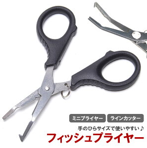 vC[ nT~ VU[vC[ RpNg ނ tBbVO jO A[