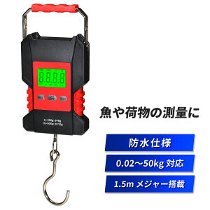 tBbVO XP[ fW^ ݂͂  h 50kg W[  1.5m USB [d dr  ނ @\ tbN